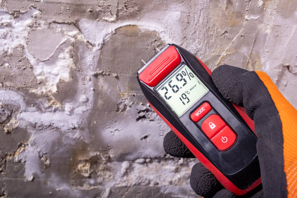Reliable King City, OR Mold Removal Solutions