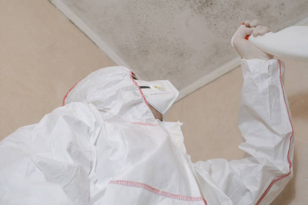 Best Residential Mold Removal  in King City, OR